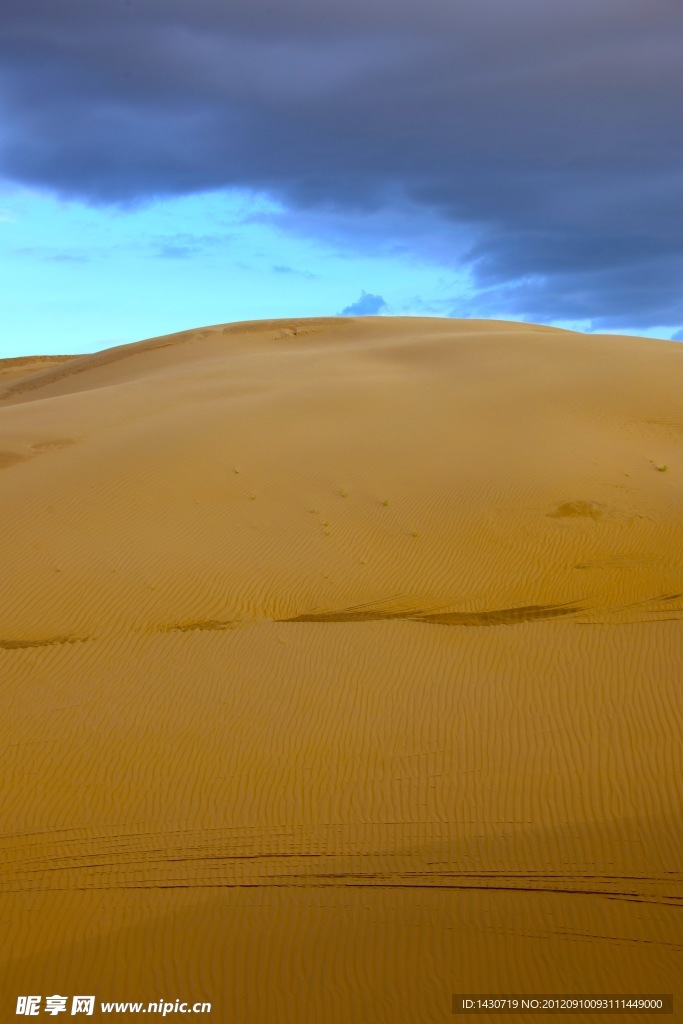 金色的沙丘