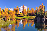 秋日湖景 一池秋水