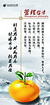 企业标语