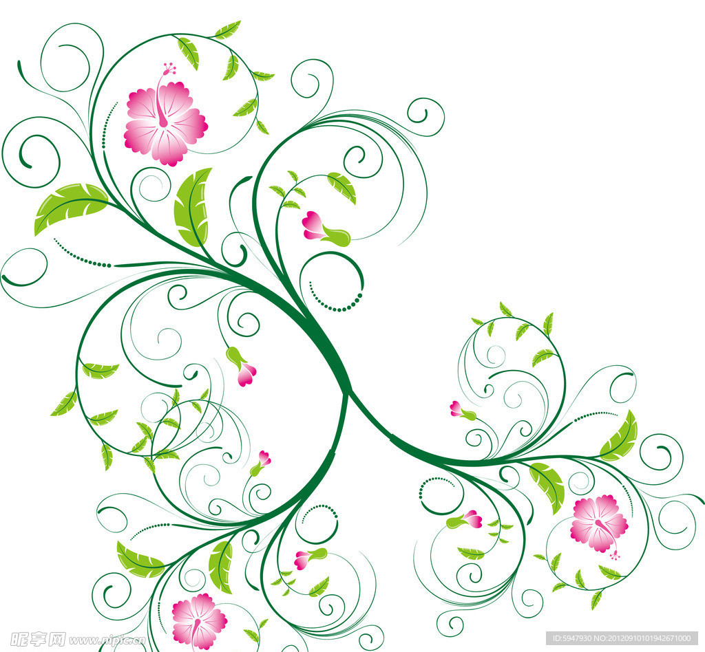 花纹