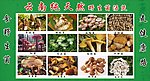 云南野生菌