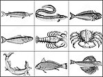海鱼海洋生物笔刷
