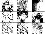 龟裂皲裂裂纹树纹PS笔刷