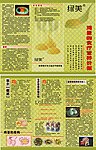 绿美
