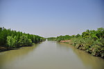 西溪湿地