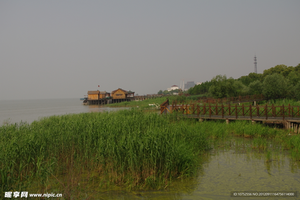 滨水湿地景观栈道