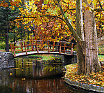 公园秋景 小桥