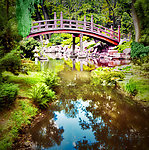公园秋景 小桥