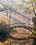 公园秋景 小桥