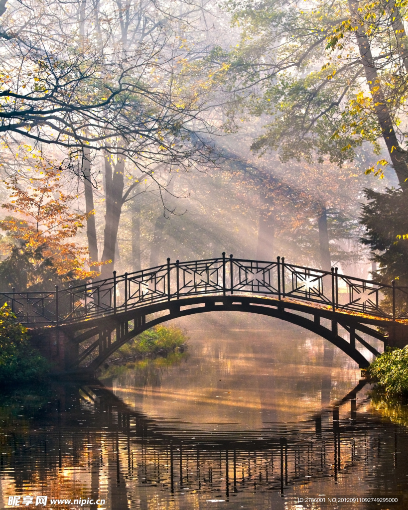 公园秋景 小桥