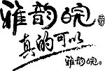 雅韵皖酒