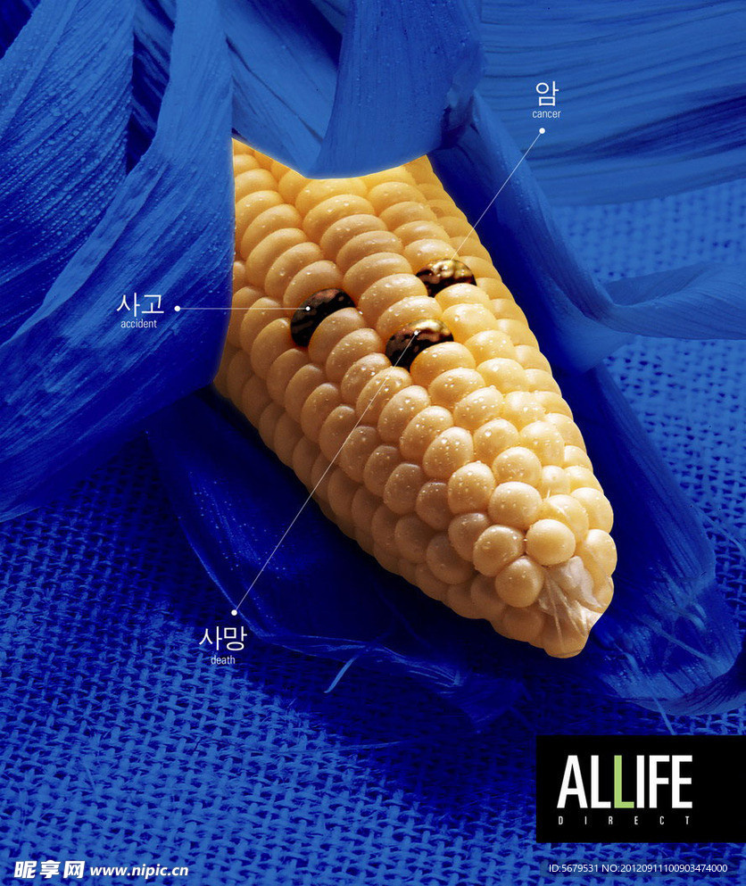 玉米