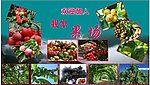 我家农场