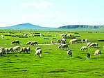 内蒙古风景