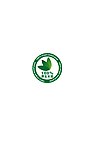 原生木浆 原木浆 100