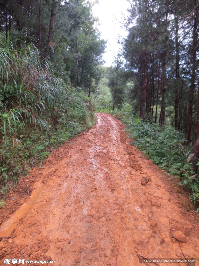 山间小路