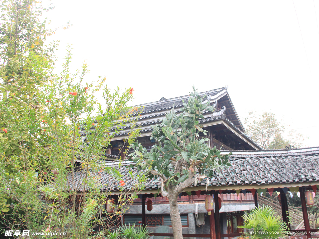 屋顶