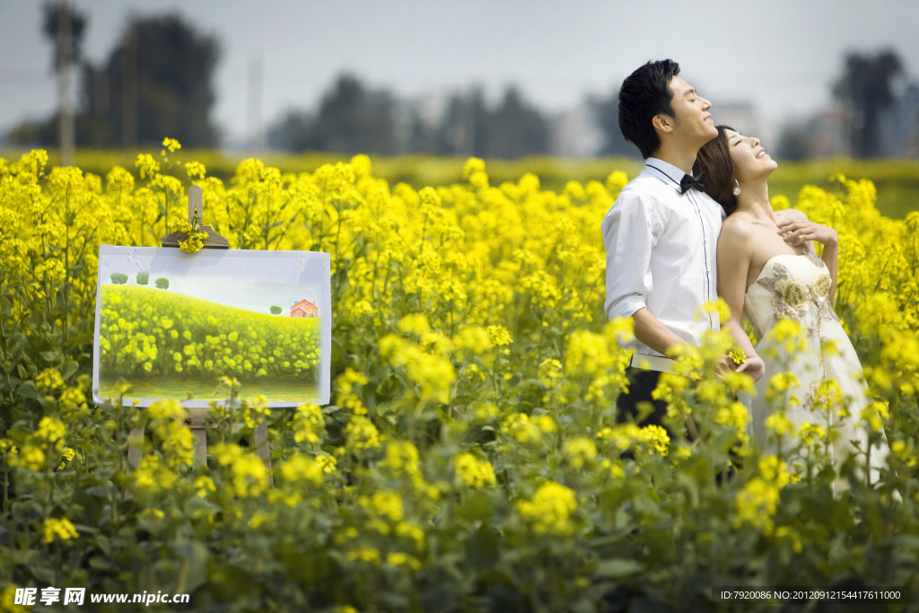 油菜花婚纱摄影