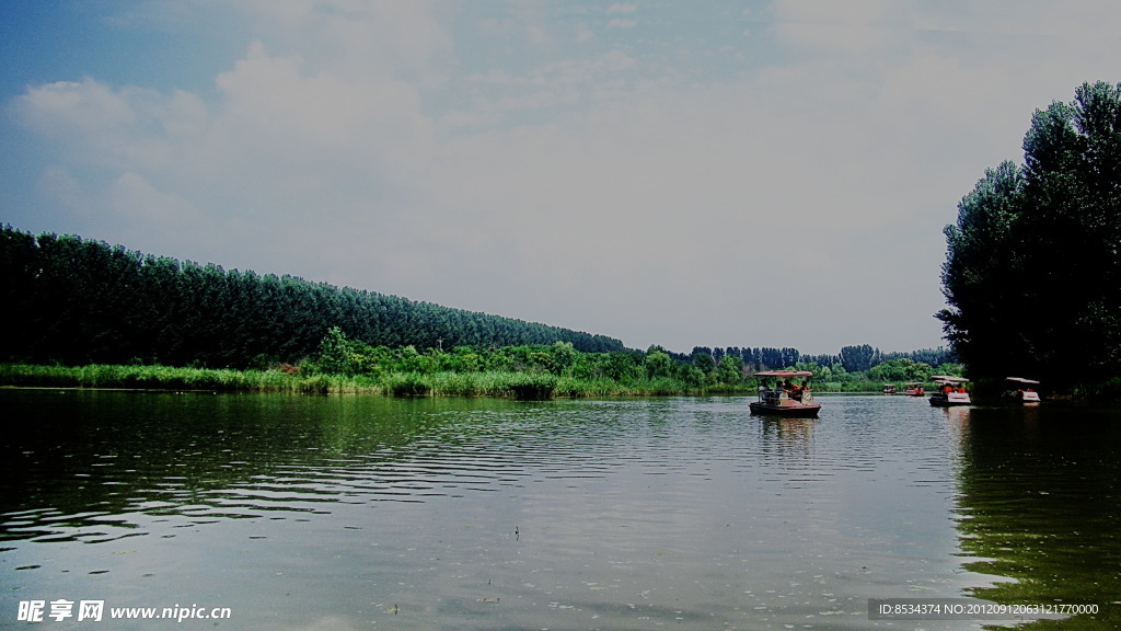 悠然的湿地
