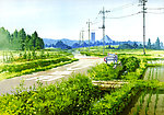 风景 田野