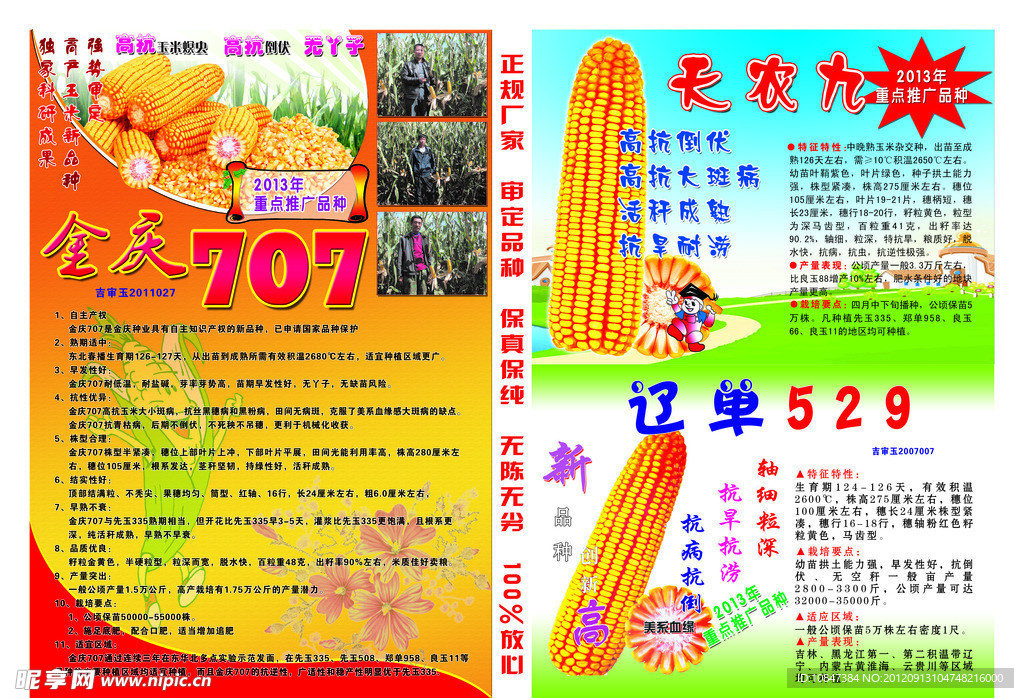 玉米宣传