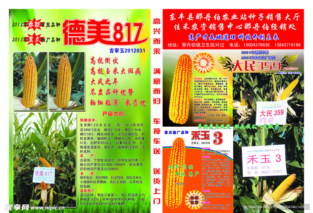 玉米宣传