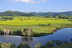 油菜花海