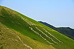 蒙古国乌兰巴托大山上的蒙文