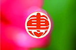 艺术惠字