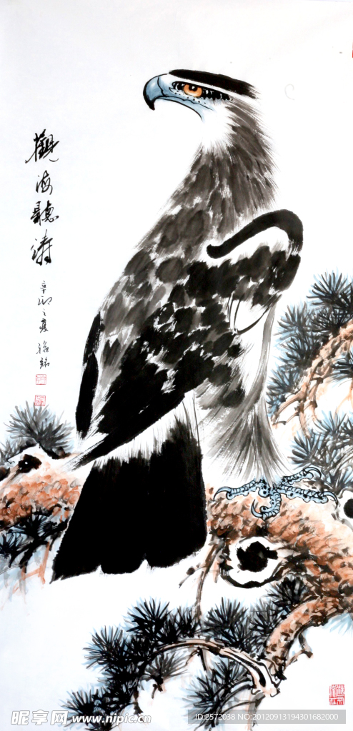 观海听涛