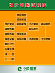 烟叶收购流程图