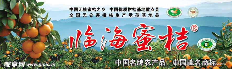 临海蜜桔