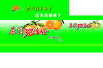 冰糖橙包装