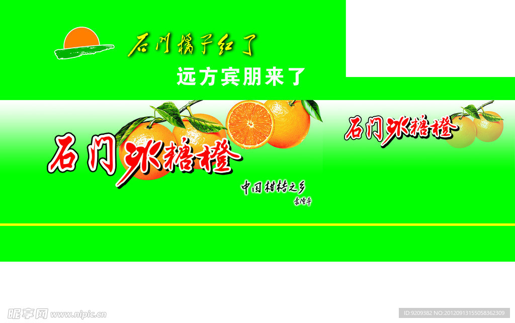冰糖橙包装