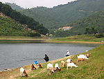 山青水秀