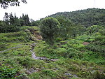 山边的河流