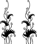 花纹