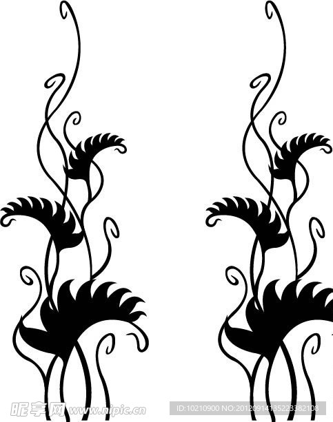 花纹