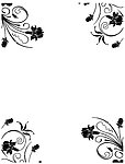 花纹