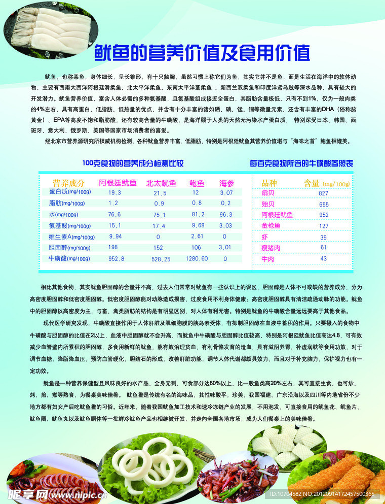 鱿鱼营养价值单页