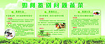 蔬菜知识展板