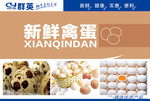 新鲜禽蛋