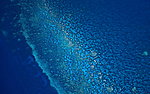 海水