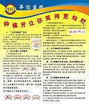 人工种植牙海报