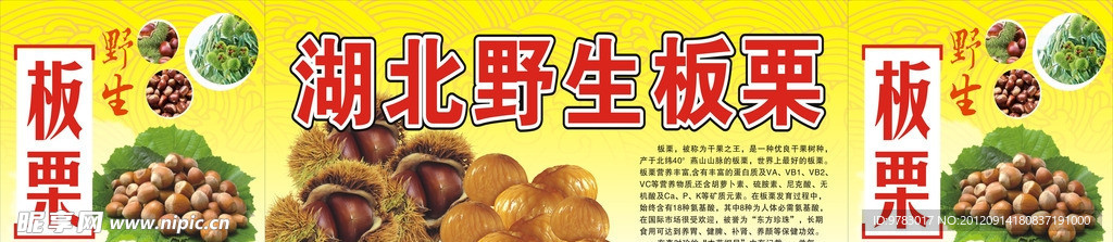 湖北野生板栗