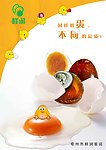 食品海报