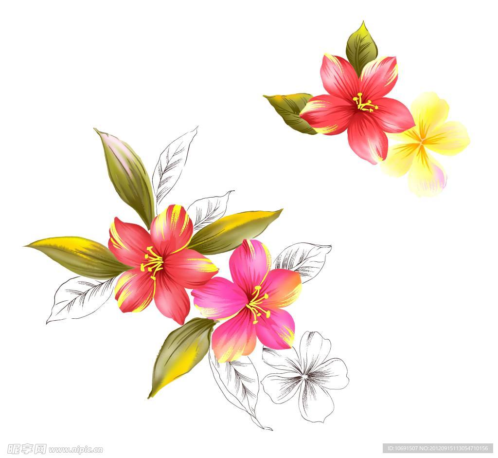 彩绘花朵