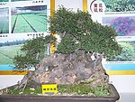 峰峦叠翠