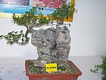 小绿树