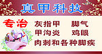 真甲科技